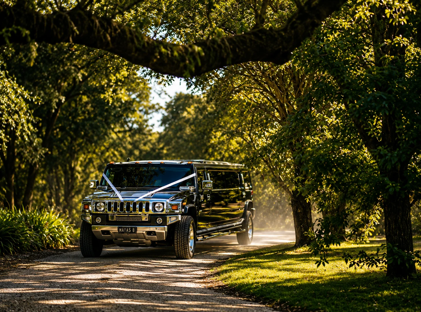 Black Beauty Hummer